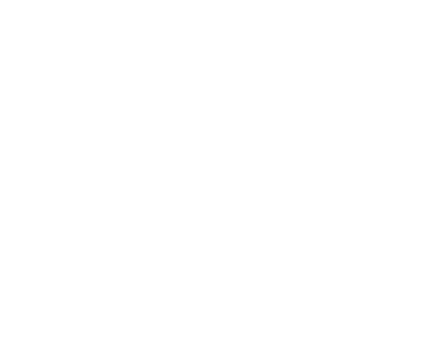 Teddy Killerz